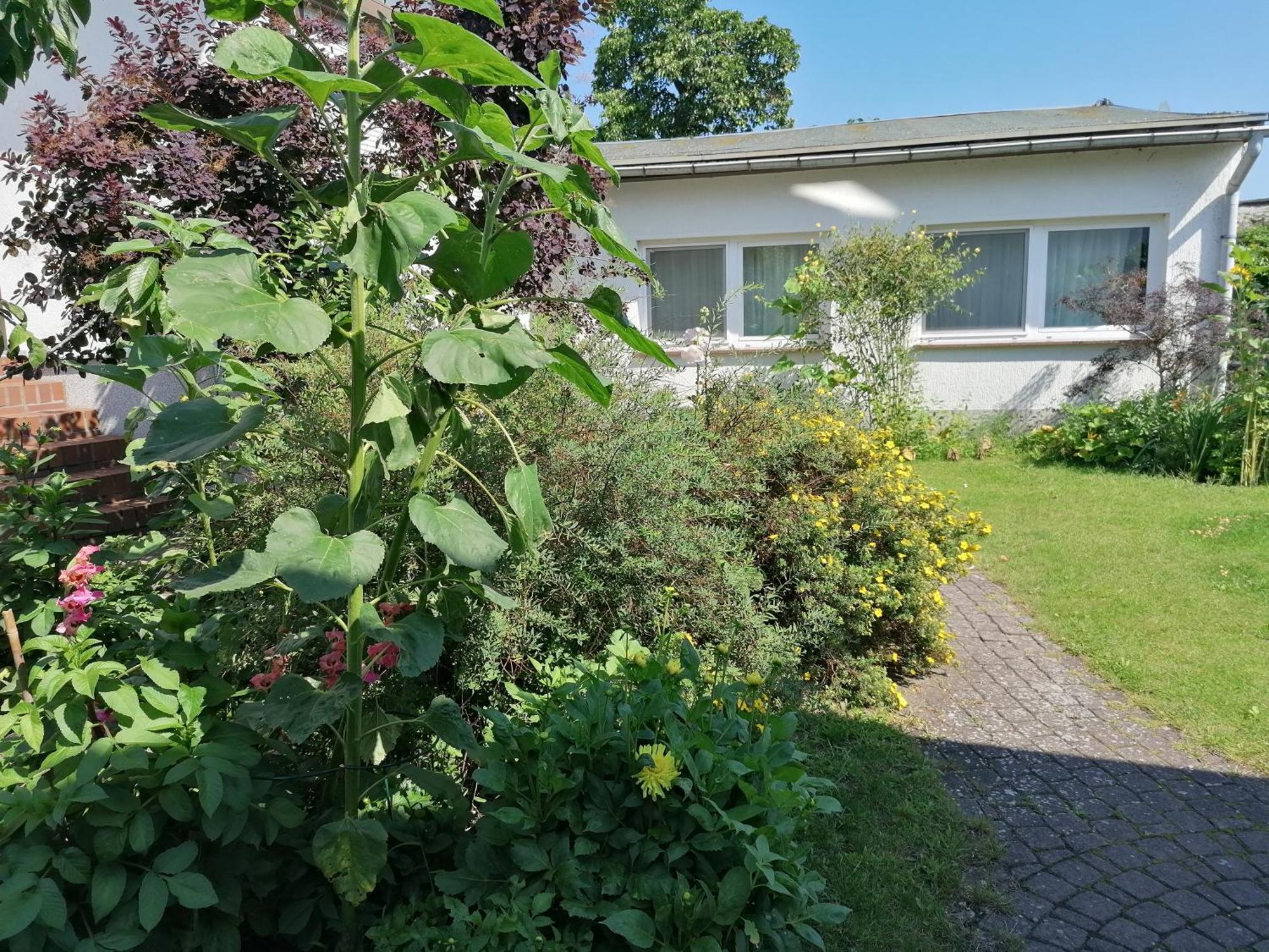 Pension Haus Anneliese Uckeritz Exterior foto