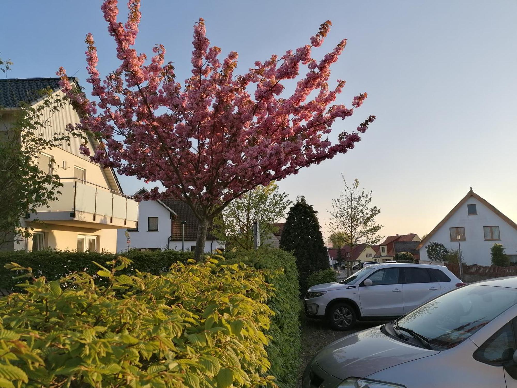 Pension Haus Anneliese Uckeritz Exterior foto