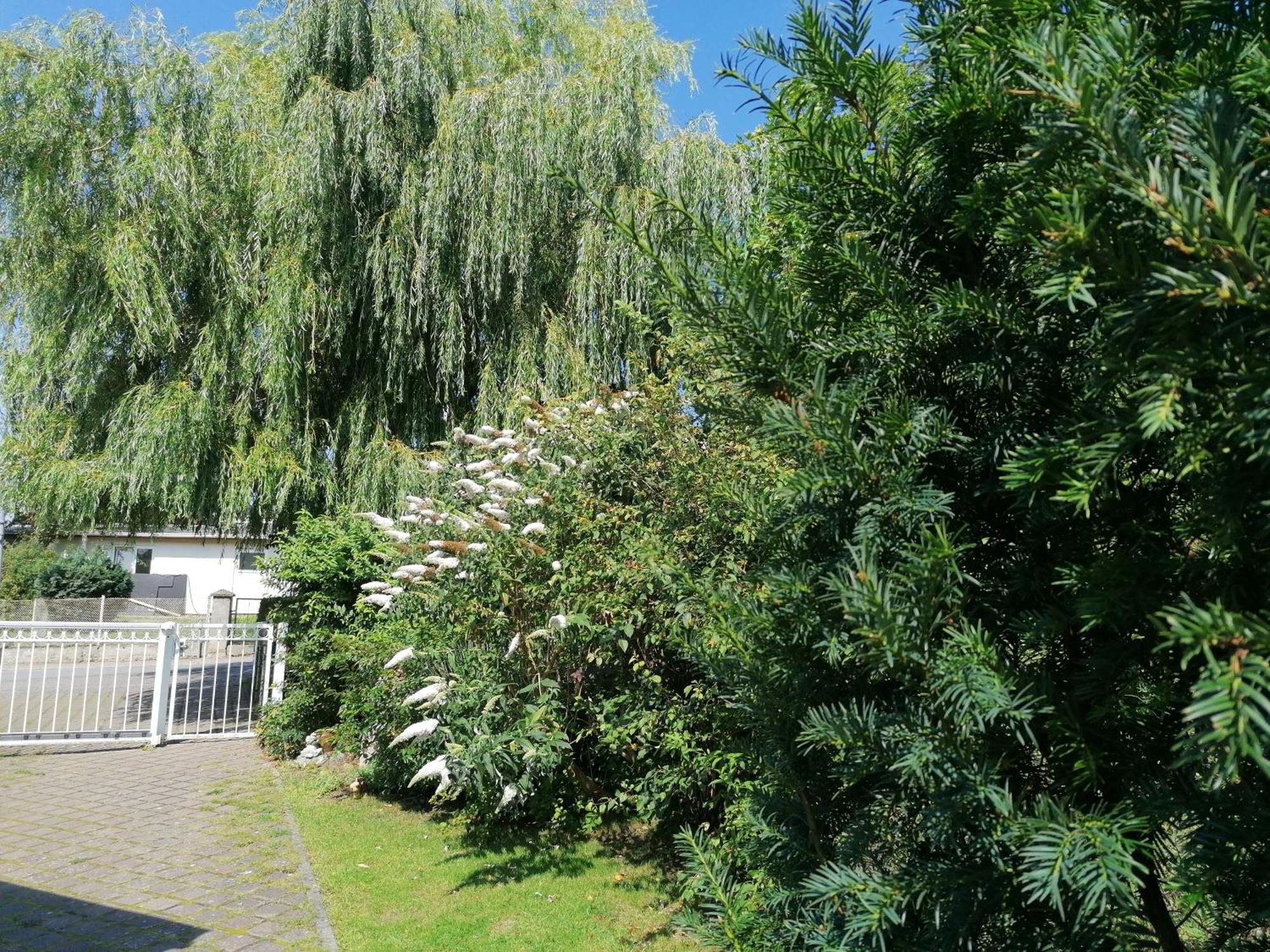 Pension Haus Anneliese Uckeritz Exterior foto