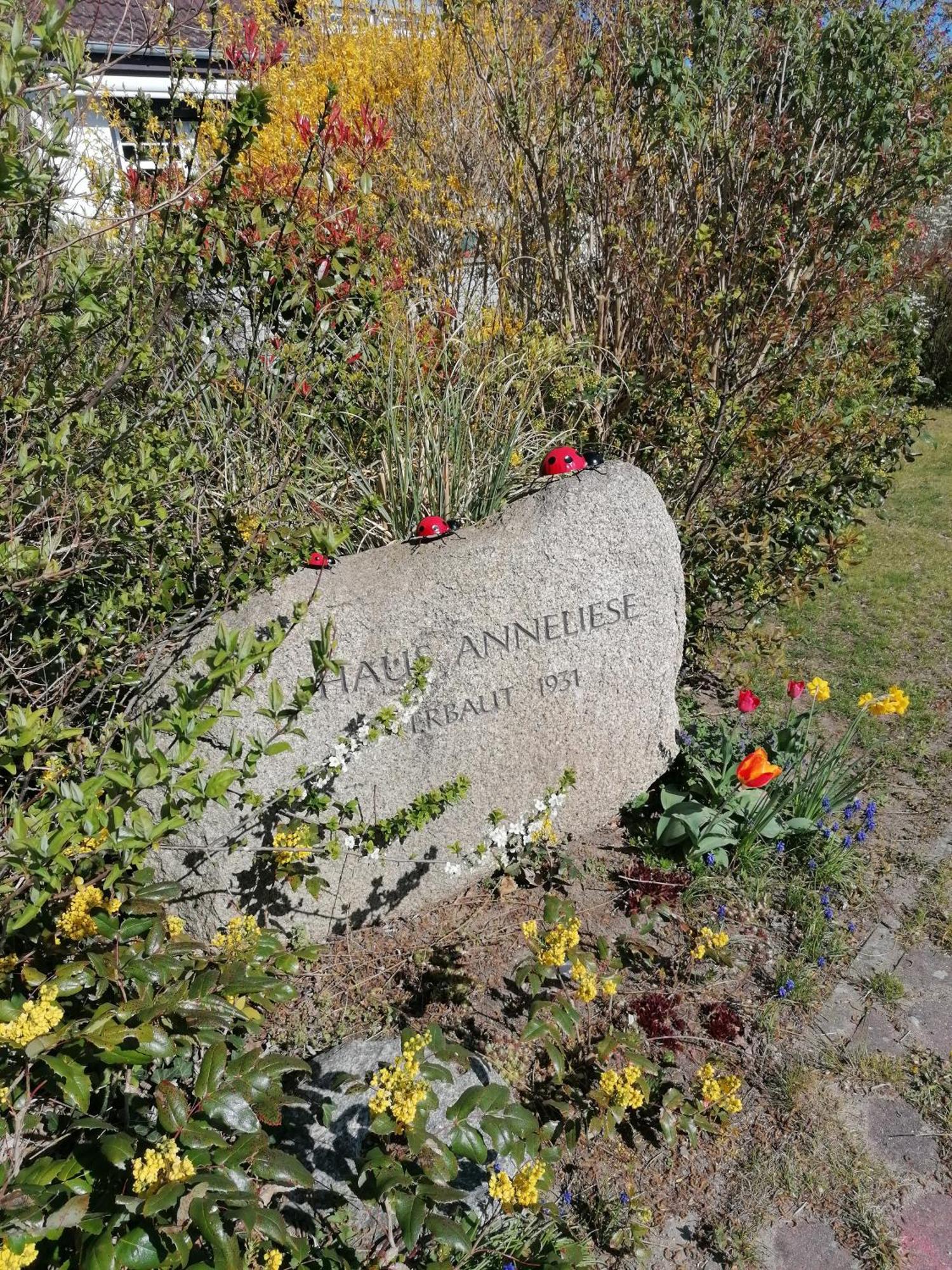 Pension Haus Anneliese Uckeritz Exterior foto
