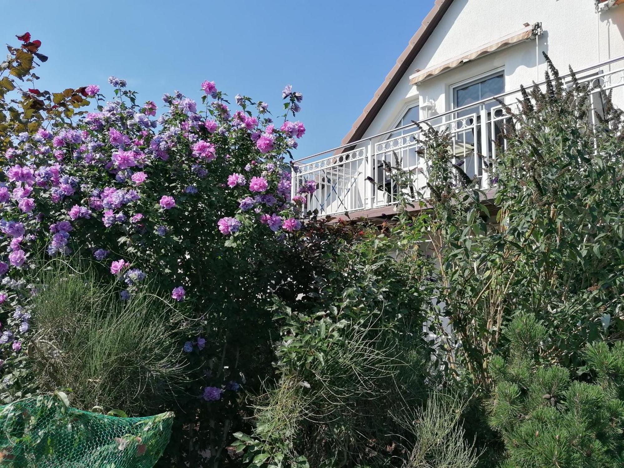 Pension Haus Anneliese Uckeritz Exterior foto